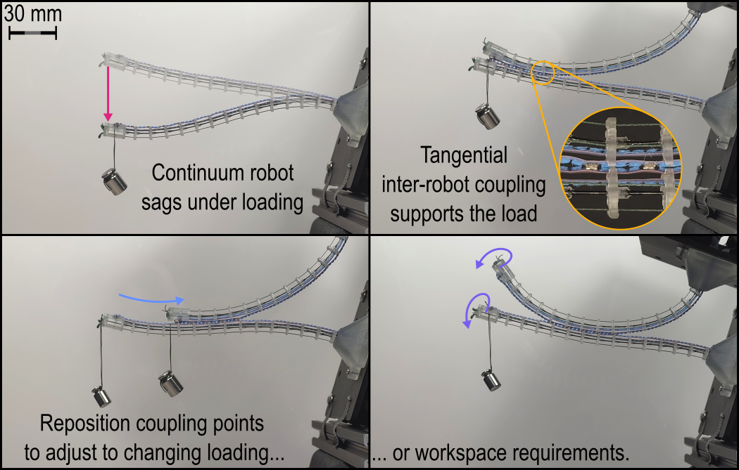 Four research photographs comparing continuum robot coupling arrangements under load.